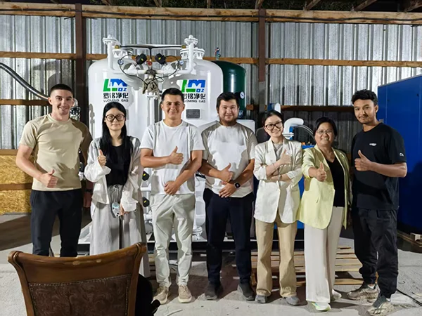 Sistema de generación de nitrógeno PSA para un fabricante de productos electrónicos en Israel